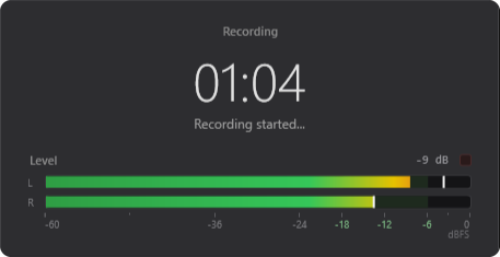 RecSimple level meter during a recording, with level value and peak markers for the left and right channel